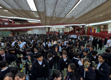 DOMINGO DE RAMOS 2026